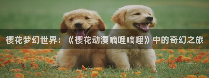 omofun在线观看动漫