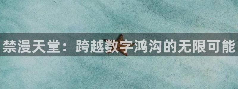 omofun66：禁漫天堂：跨越数字鸿沟的无限可能