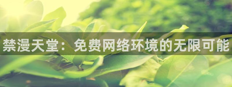omofun安卓：禁漫天堂：免费网络环境的无限可能