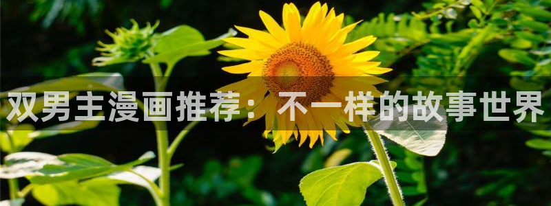 omofun动画：双男主漫画推荐：不一样的故事世界