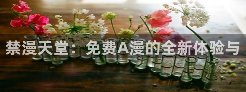 omofun.con：禁漫天堂：免费A漫的全新体验与