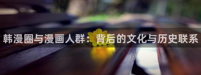 omofun网页：韩漫圈与漫画人群：背后的文化与历史联系