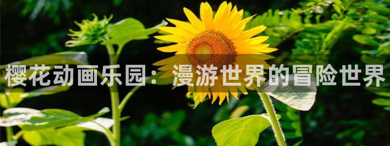 omofun有ios版吗：樱花动画乐园：漫游世界的冒险世界