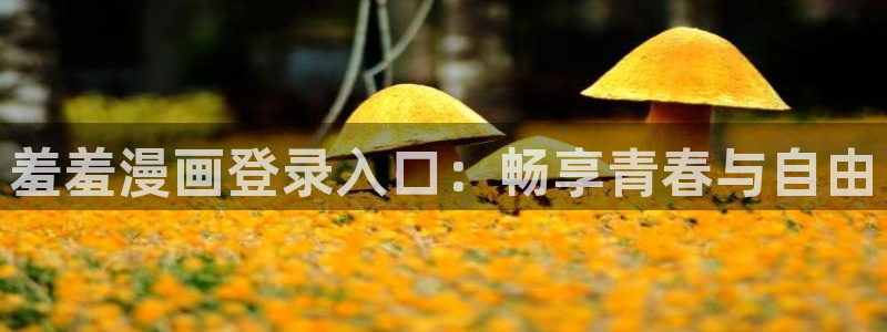 omofun动漫正版：羞羞漫画登录入口：畅享青春与自由