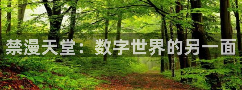 新新漫画正版下载：禁漫天堂：数字世界的另一面