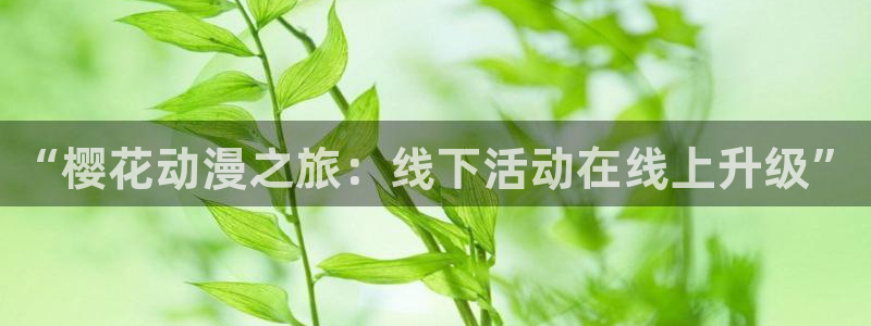 .omofun：“樱花动漫之旅：线下活动在线上升级”
