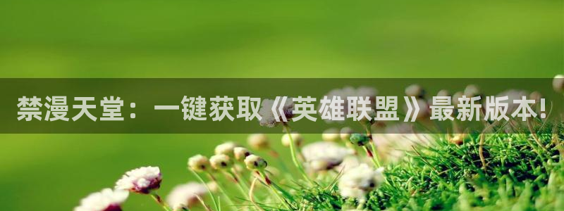 omofun正版app下载：禁漫天堂：一键获取《英雄联盟》最新版本!