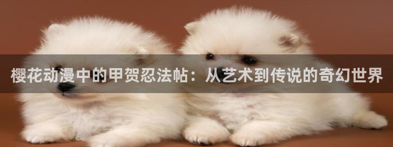 动漫共和国(omofun)官网：樱花动漫中的甲贺忍法帖：从艺术到传说的奇幻世界
