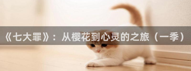 动漫共和国omofun：《七大罪》：从樱花到心灵的之旅（一季）