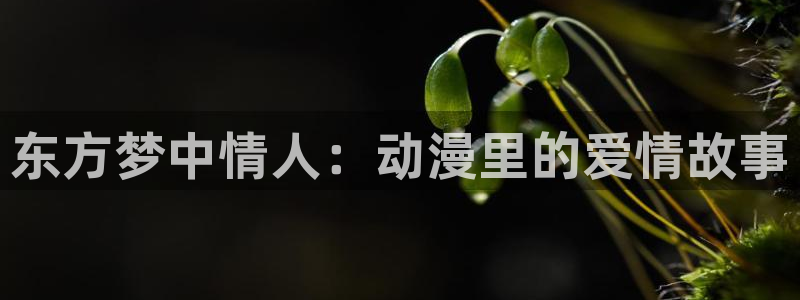 omofun. t：东方梦中情人：动漫里的爱情故事