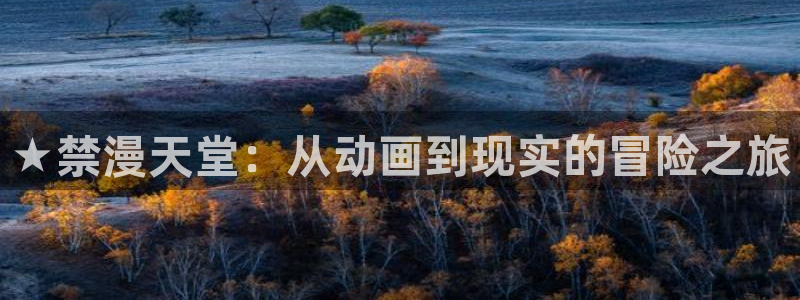 omofun专注动漫的网站：★禁漫天堂：从动画到现实的冒险之旅
