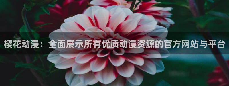 omofun怎么投屏：樱花动漫：全面展示所有优质动漫资源的官方网站与平台