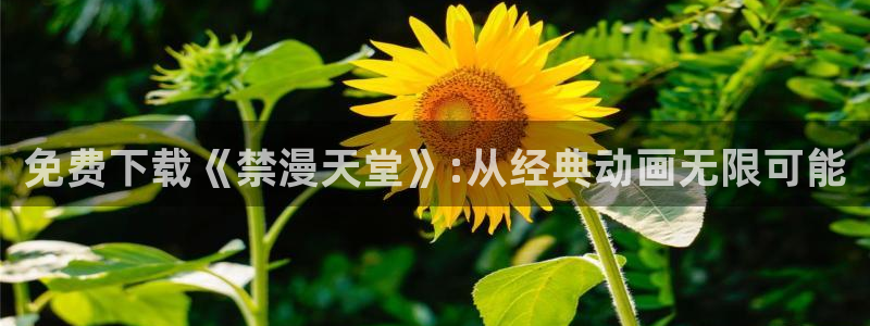 omofun苹果安装包：免费下载《禁漫天堂》:从经典动画无限可能